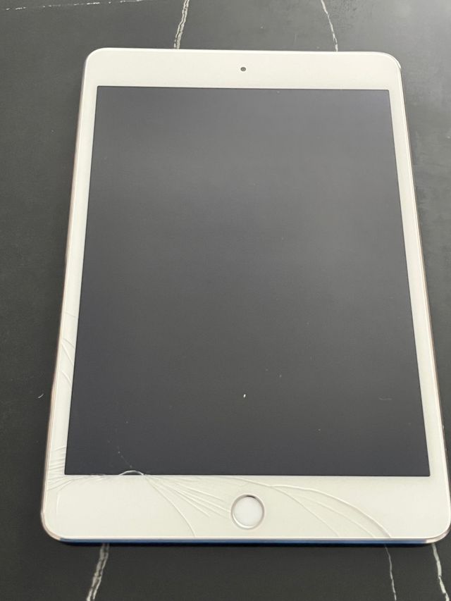 ipad mini 4