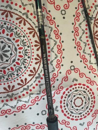 Caña Spinning Daiwa Tournament Ags