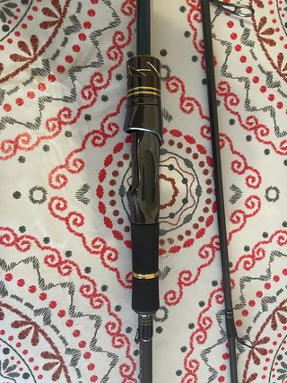 Caña Spinning Daiwa Tournament Ags