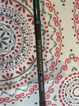 Caña Spinning Daiwa Tournament Ags