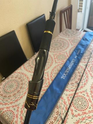 Caña Spinning Daiwa Tournament Ags