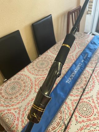 Caña Spinning Daiwa Tournament Ags