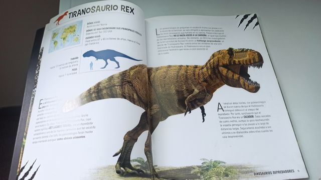 2 Libros de dinosaurios