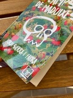 camps de maduixes, libro lectura ESO