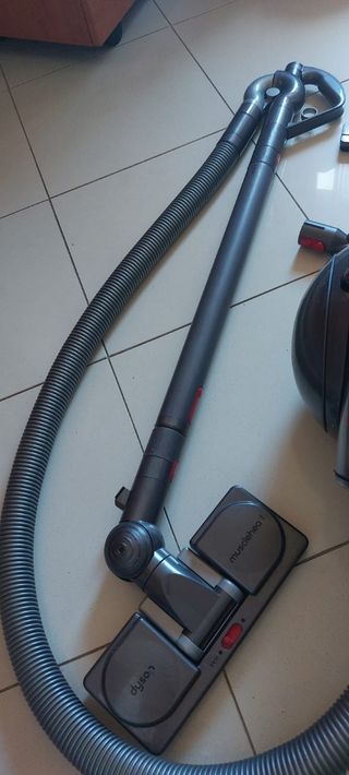 Dyson big ball animal pro