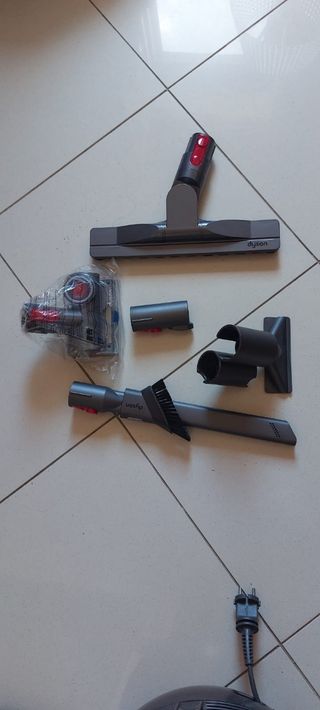 Dyson big ball animal pro