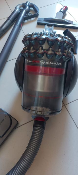 Dyson big ball animal pro