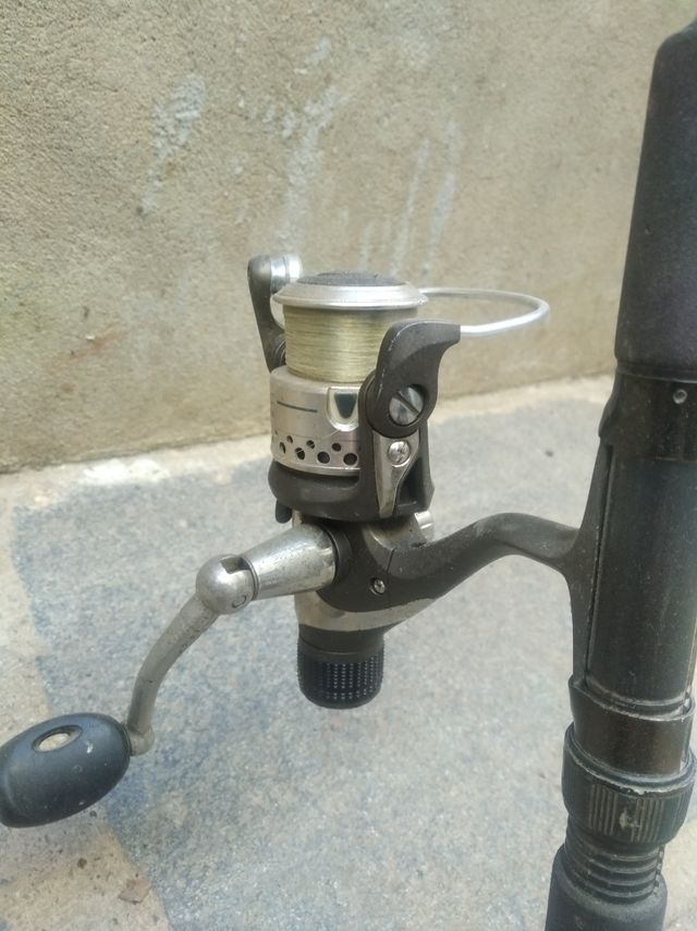 Caña pesca y carrete