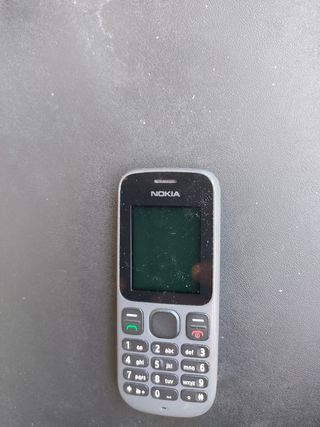 Nokia 100