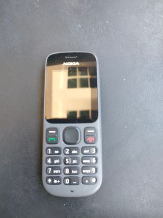Nokia 100