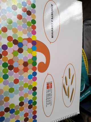 Libro libro de plástica de sexto de primaria