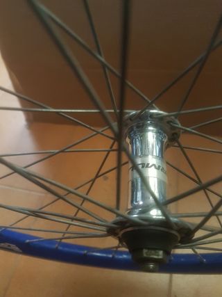Rueda delantera 24