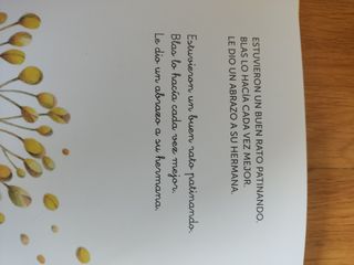 Libros aprender leer, serie Berta y Blas