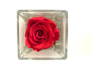 Rose disidratate