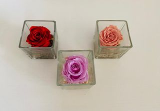 Rose disidratate