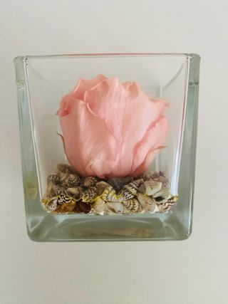 Rose disidratate