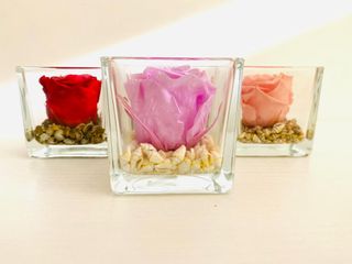 Rose disidratate