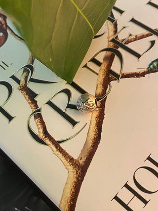 Clip con pietre pandora