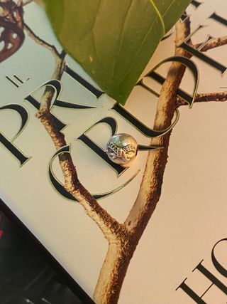 Clip con pietre pandora