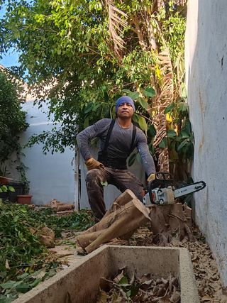 Jardín,podas y limpiezas