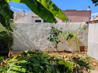 Jardín,podas y limpiezas