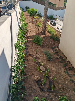 Jardín,podas y limpiezas