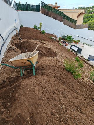 Jardín,podas y limpiezas