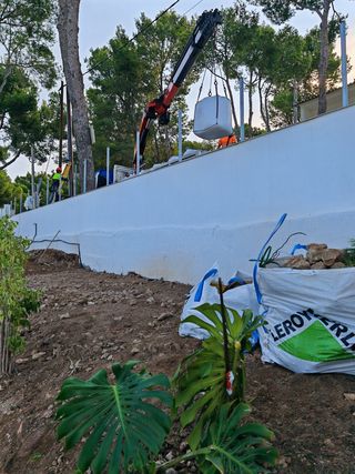 Jardín,podas y limpiezas