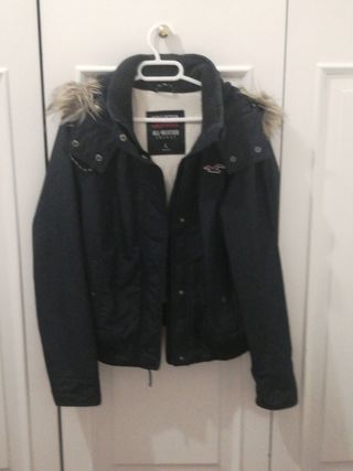 bomber Hollister tipo aviador