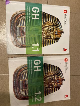 Libros geografia e historia 1eso vicens vives