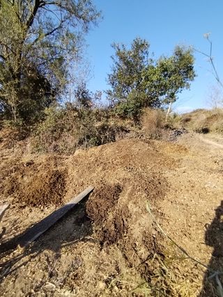 se regala estiercol de caballo