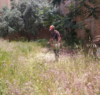 Jardinero economíco