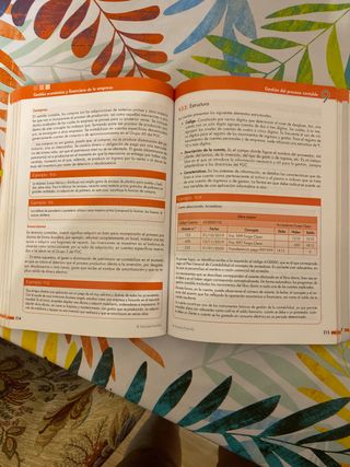 Libro Gestión económica y financiera de la empresa