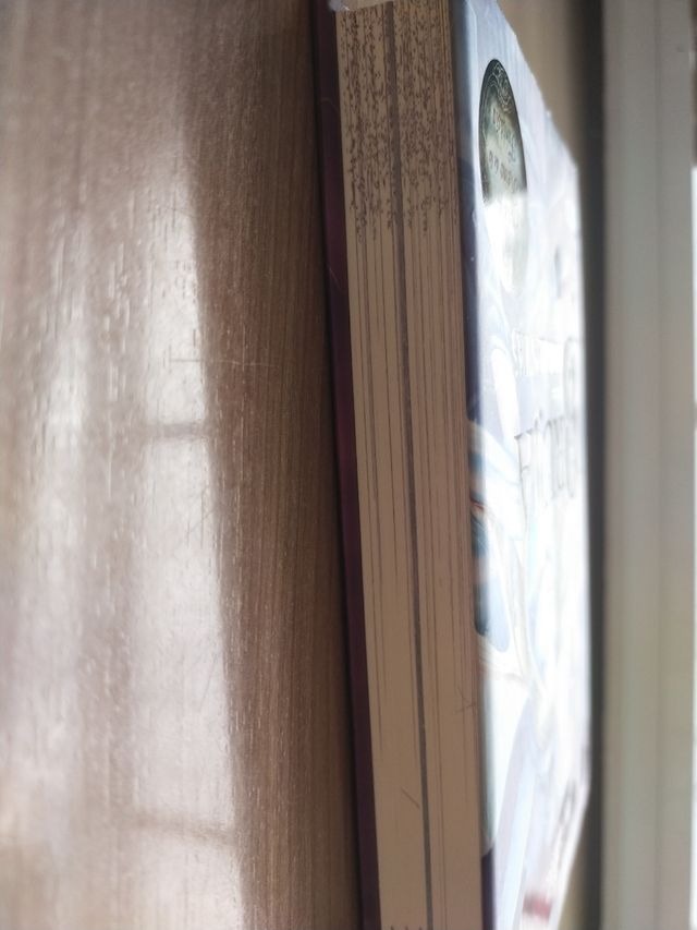 BRUJA DE LAS TORMENTAS.TEA STILTON