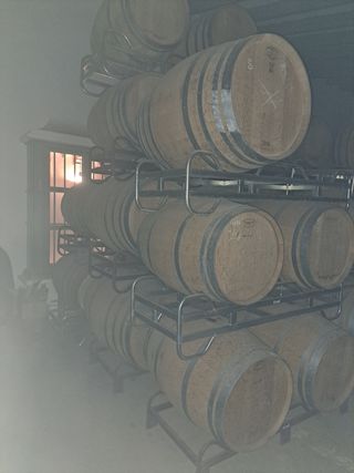 Botti di vino da 300 litri e 225 litri