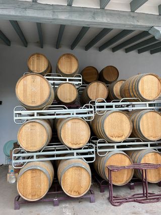 Botti di vino da 300 litri e 225 litri