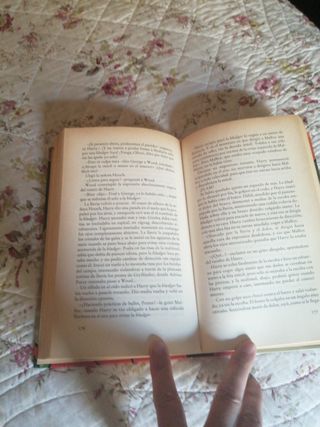 Harry Potter y la cámara secreta