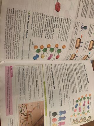 libro de biologia 1 de bachillerato