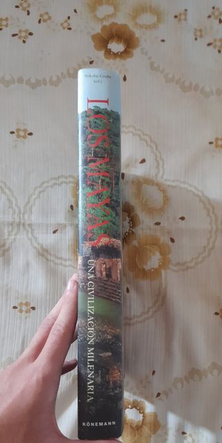 Los Mayas, una civilización milenaria