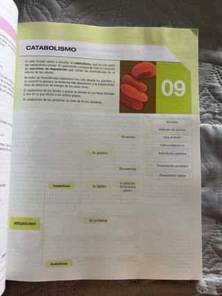 Libro Biologia 2 bachillerato mc graw hill