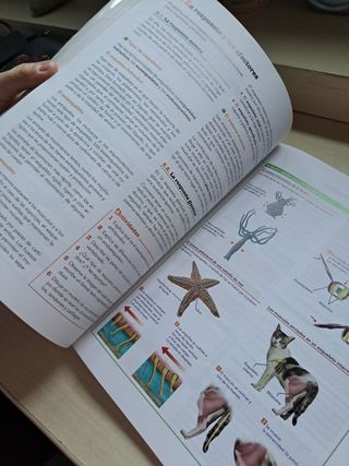 Libro Biología y Geología 1Bach Anaya