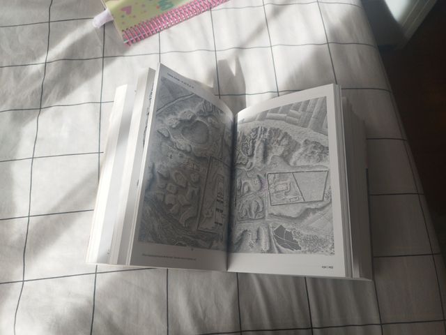 Libro Description de l'egypte