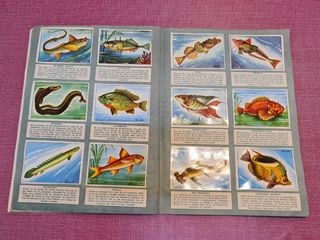 2 Album Cromos Historia Natural 1958