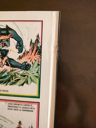 TARZAN BURNE HOGARTH MONTENA