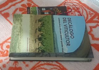 Decálogo del Viticultor: Cuidados de la viña para