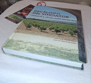 Decálogo del Viticultor: Cuidados de la viña para