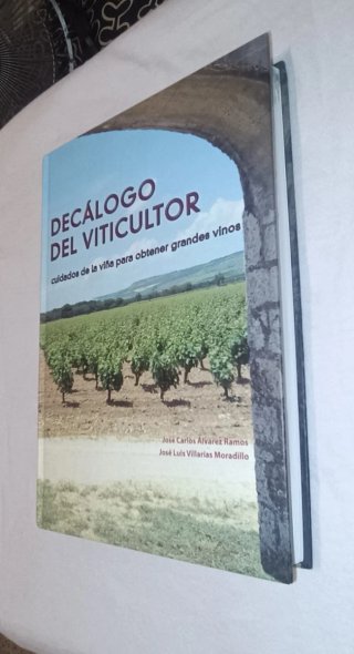 Decálogo del Viticultor: Cuidados de la viña para