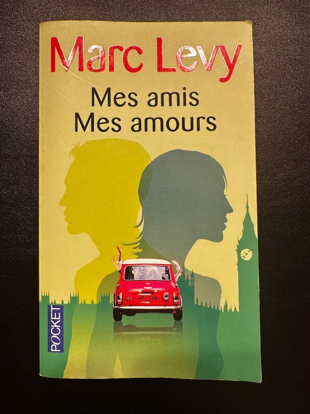 Mes amis mes amours, de Marc Levy