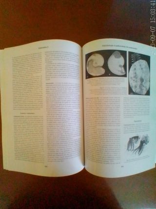 Libro Ammonites 2.Patrice Lebrun.