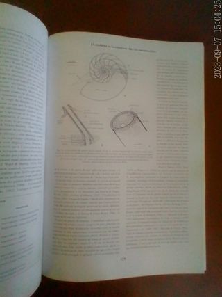 Libro Ammonites 2.Patrice Lebrun.